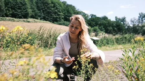 Frau untersucht Pflanzen in ländlicher Umgebung.