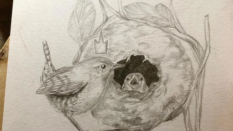 Skizze eines Vogels, der ein Küken füttert.