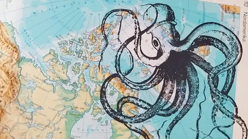 Illustration of octopus on a map.