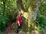 Innere Wildnis - Naturcoaching und Waldabenteuer logo