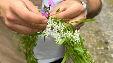 Hands arranging wildflowers in nature setting.