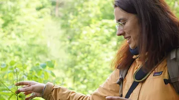 Frau untersucht Pflanze im grünen Wald.