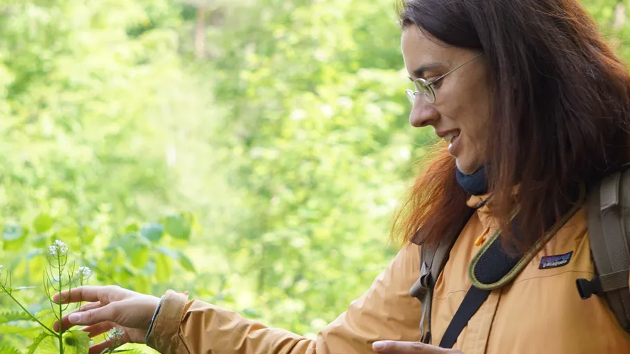 Woman examining plant in green forest.