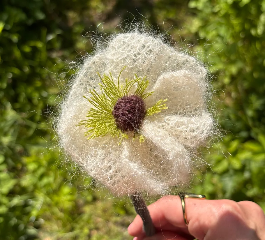 Hand holds wool flower in sunny garden.
