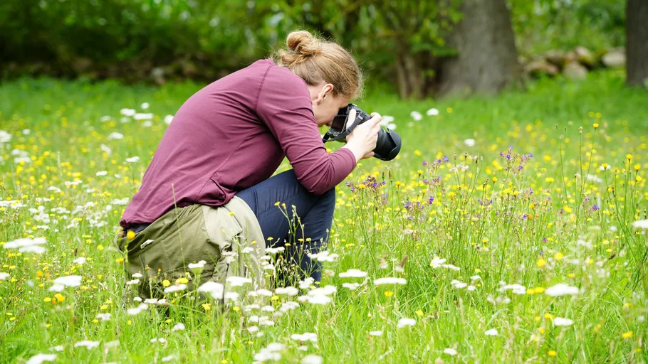 Photographer crouching in a field taking photos.