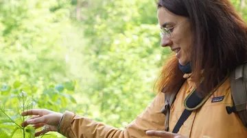 Frau berührt Pflanze im grünen Wald.