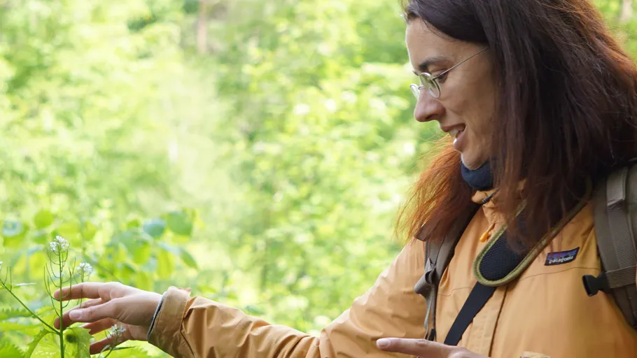 Frau berührt Pflanze im grünen Wald.