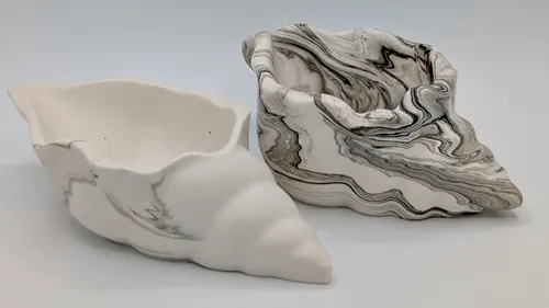 Zwei geformte Muscheln auf weißer Fläche.
