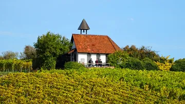 Kleine Kapelle auf Hügel mit Weinbergansicht.