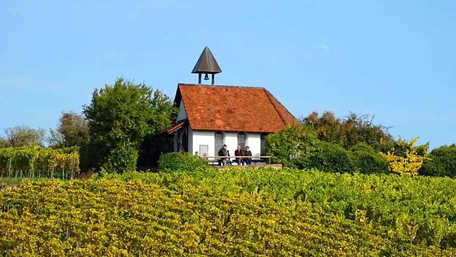 Kleine Kapelle auf Hügel mit Weinbergansicht.