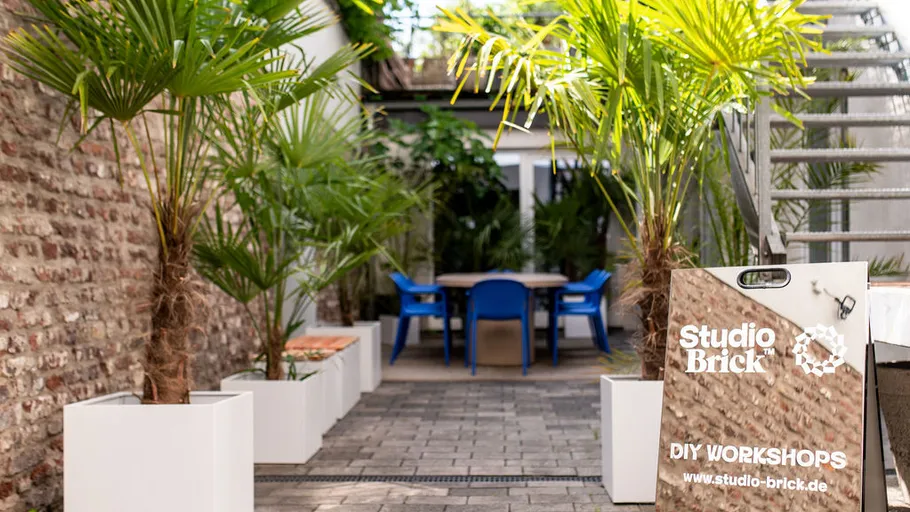 Garden alley with palm trees and sign.