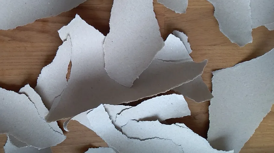 Torn paper pieces scattered on wooden surface.