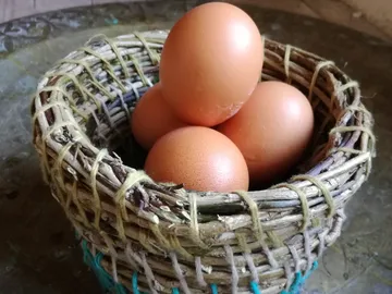 basket with eggs, resting on a surface.