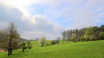 Grüne Wiese mit Bäumen unter Wolkenhimmel.