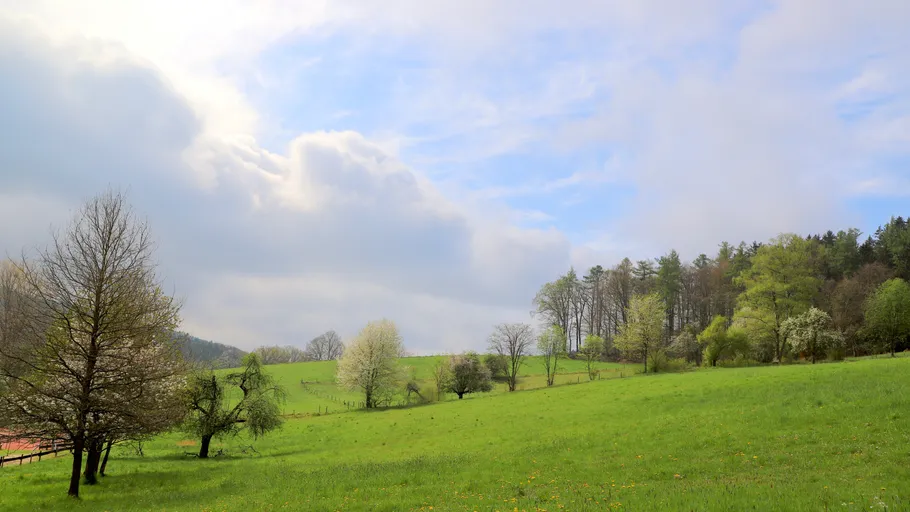Grüne Wiese mit Bäumen unter Wolkenhimmel.