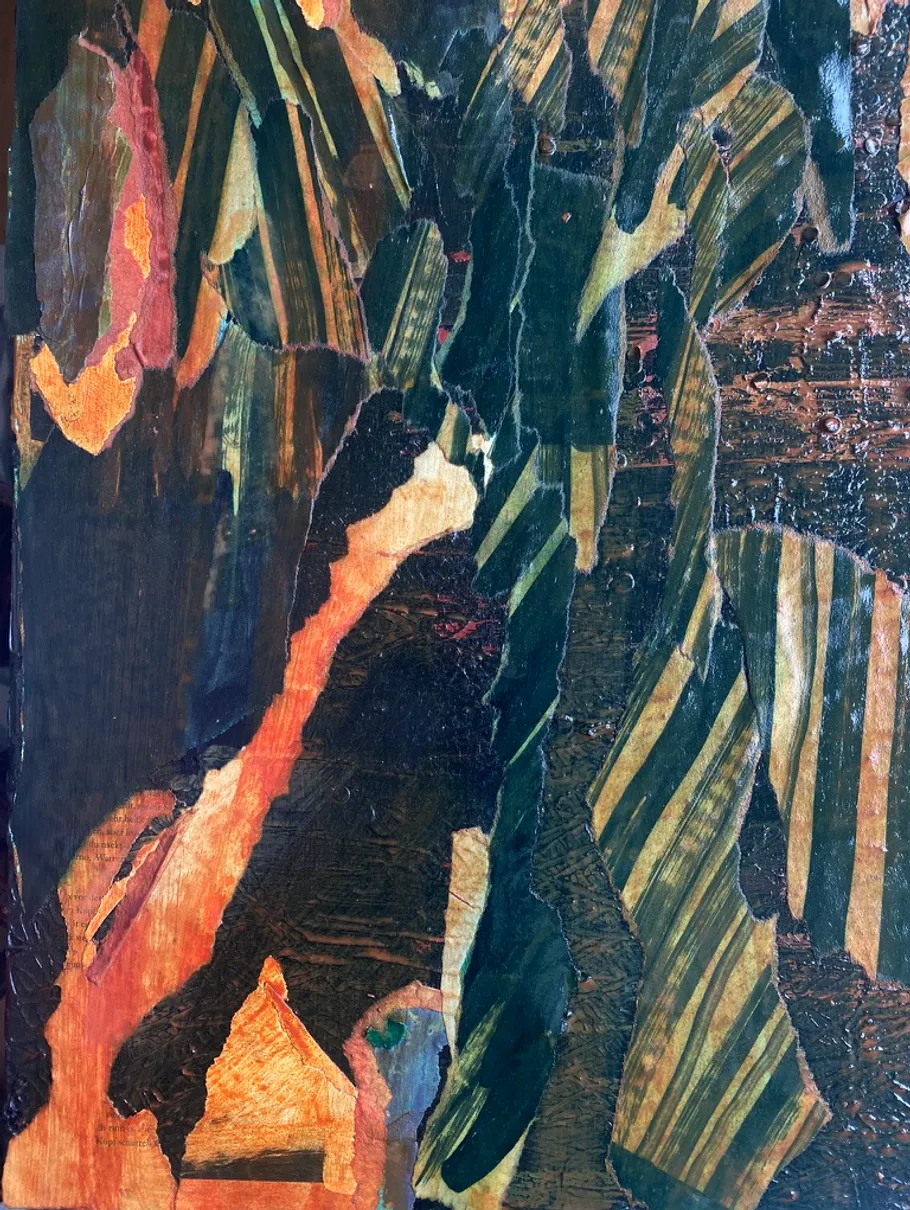 Abstract art with colorful, textured patterns.