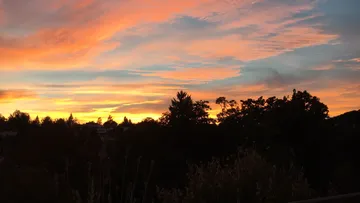 Silhouetted trees against a vibrant sunset sky.