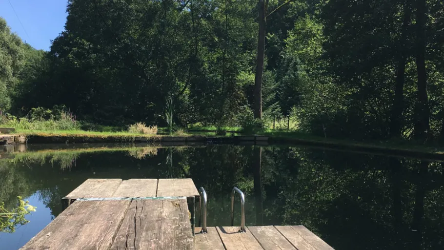 Wooden pier extending over tranquil forest pond.