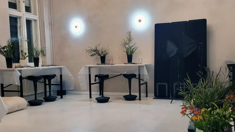 Minimalist room with plants and modern furniture.