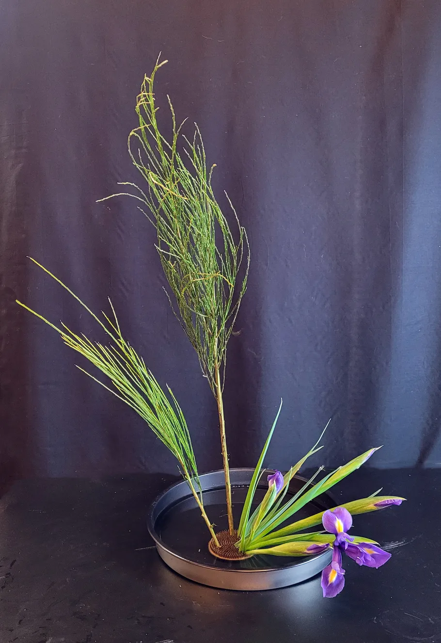 Ikebana arrangement with purple flowers, dark background.