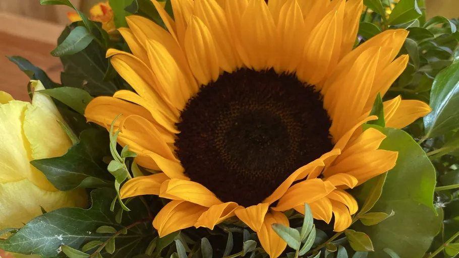 Sunflower with green leaves in bouquet.