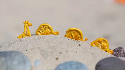 Tierförmige Cracker auf sandiger Oberfläche.