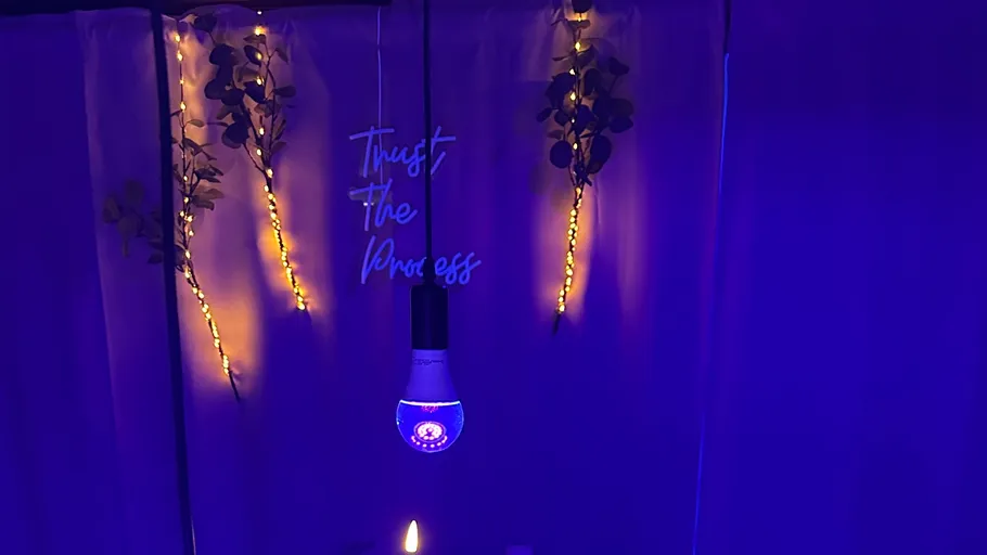 Lit bulb, wall decor, and LED lights.