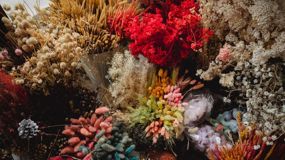 Various dried flowers in different colors displayed.