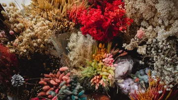 Bunte Trockenblumen in einem Strauß dargestellt.