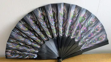 Decorative hand fan with peacock feather design.
