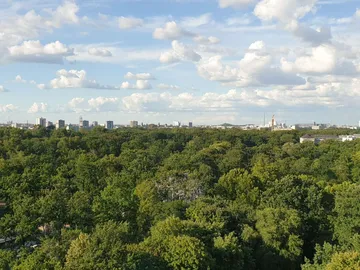 Dichte Baumlandschaft, Wolken am Himmel, Stadt im Hintergrund.