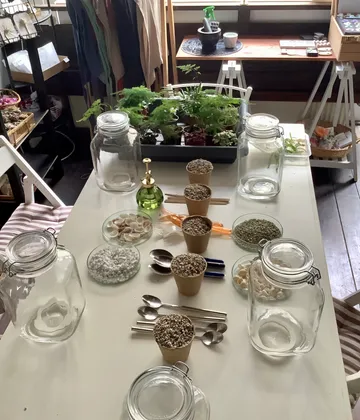 Jars and seeds on a table indoors.
