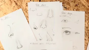 Bleistiftzeichnungen von Nasen und Augen auf Papier.