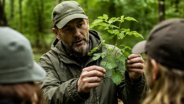 Mann zeigt Pflanze Gruppe im Wald.