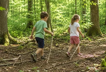 Kinder gehen mit Stöcken im Wald.