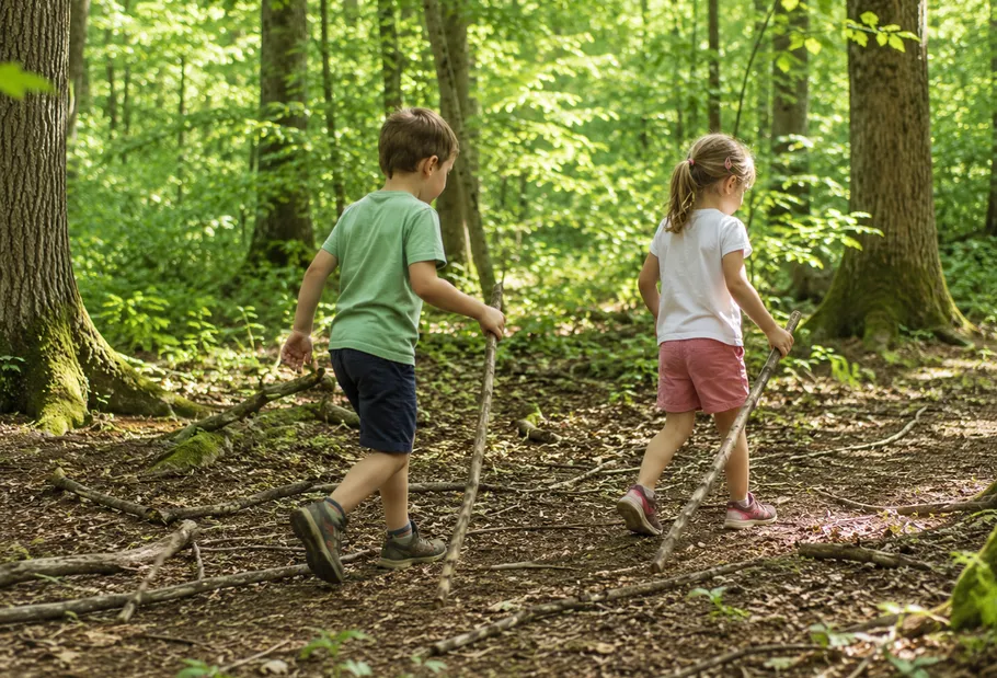 Children walking with sticks in forest.