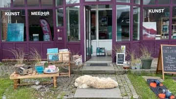 Dog resting outside an art gallery entrance.