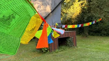 Colorful flags hanging in a garden.
