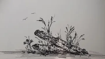 Stämme liegen auf Gras, Vögel fliegen oben.