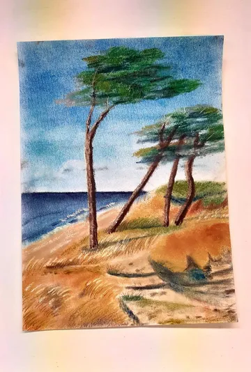 Bäume neigen sich über sandigen Strand.
