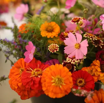 Bunte Blumen blühen in einem Blumenstrauß.