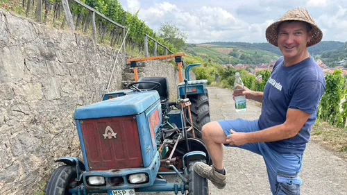 Man standing by tractor in vineyard.
