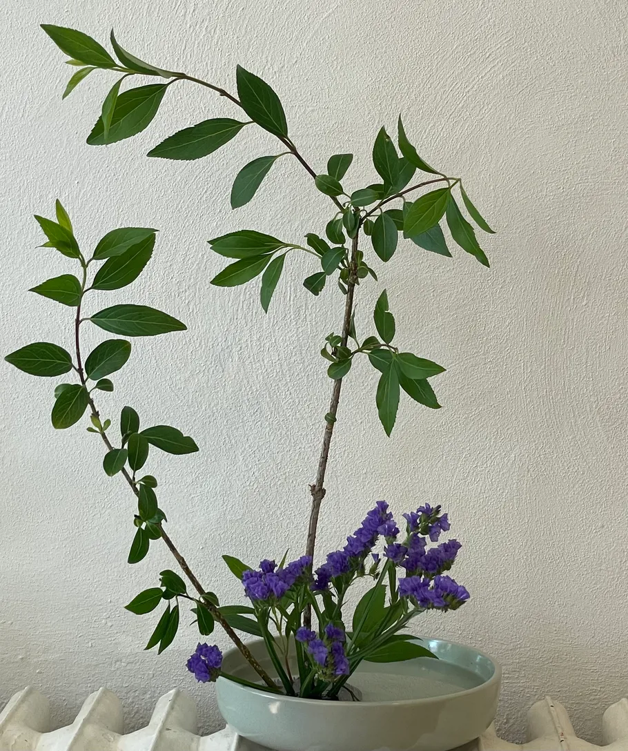 Green leaves in a ceramic bowl, minimalist setup.