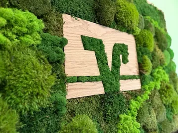 Moss-covered logo on wooden panel wall.