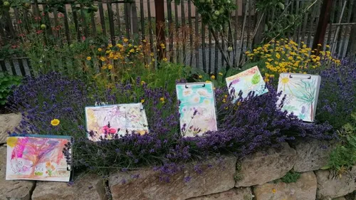 Colorful paintings displayed on lavender bushes.