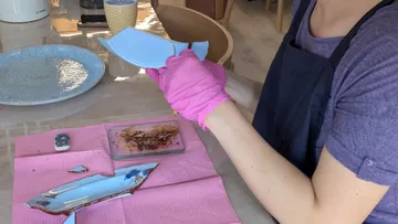 Person repairing broken pottery with gold resin.