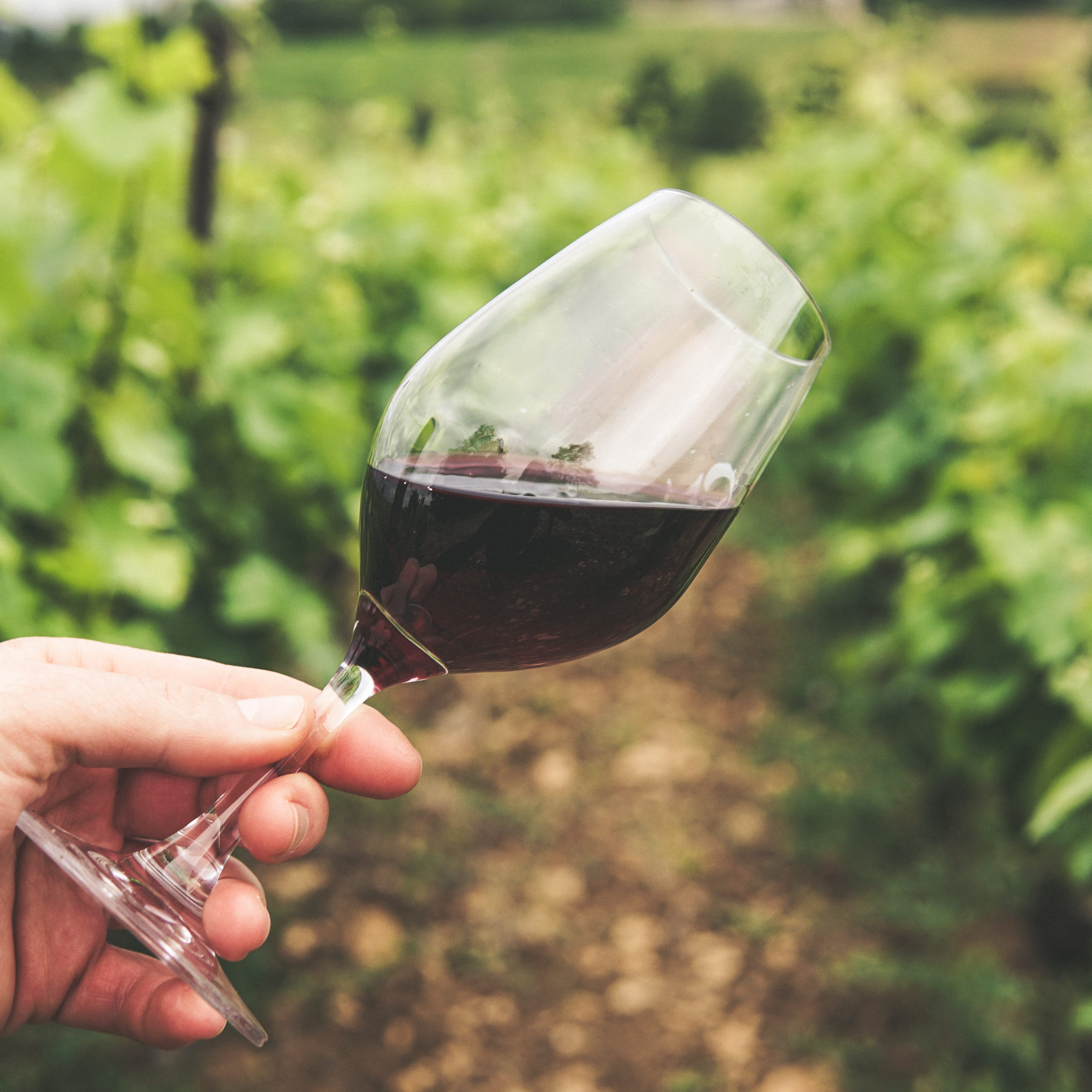 Weinprobe in Solingen: Probiere mehrere Sorten Weine