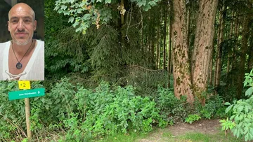Wegweiser im Wald mit Porträtfoto.