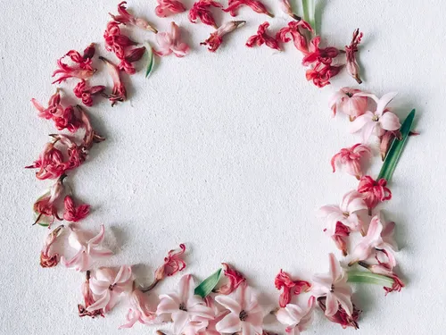 Flowers form a circle on a white surface.