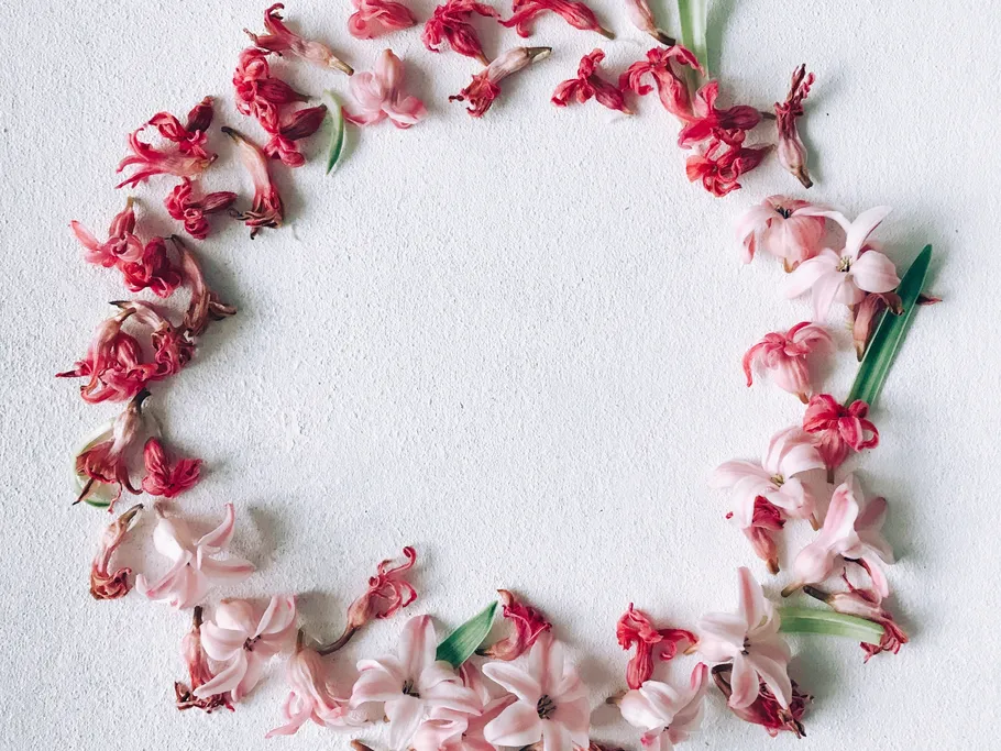 Flowers form a circle on a white surface.